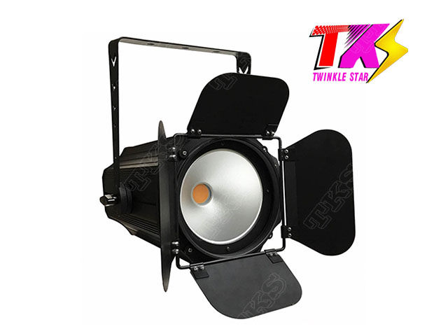 350W Warm White LED COB PAR Light